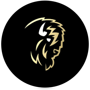 Logo of Big Buffalo